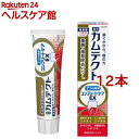 カムテクト コンプリートケアEX 歯周病(歯肉炎・歯槽膿漏)予防 歯磨き粉(105g*12本セット)【カムテクト】