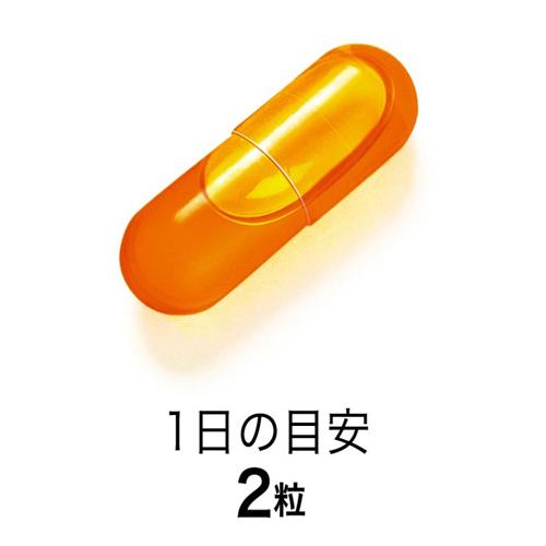 ファンケル コエンザイムQ10(60粒入*3袋セット)【ファンケル】