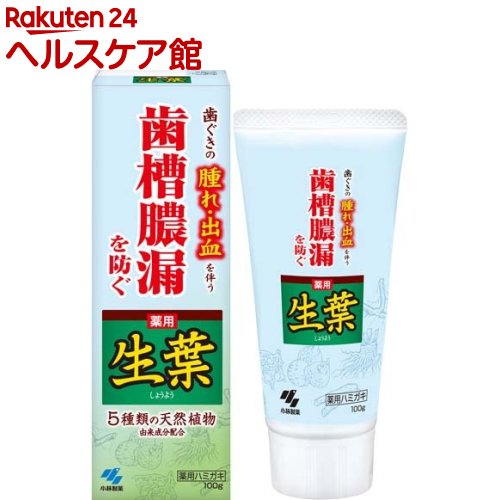 薬用歯みがき 生葉(100g)【生葉】[歯槽膿漏を防ぐ 和漢ハーブの香味 薬用ハミガキ]