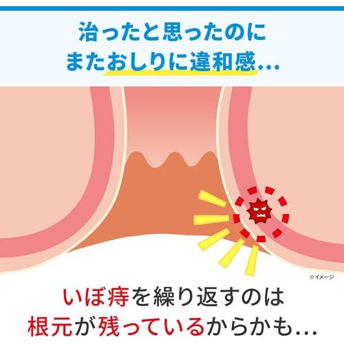 【第2類医薬品】ヘモリンド舌下錠(20錠)【ヘモリンド】[いぼ痔用薬 舌の下で溶かす]