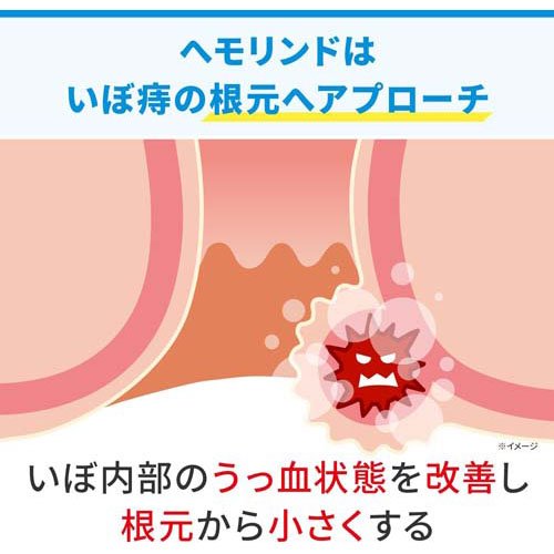 【第2類医薬品】ヘモリンド舌下錠(20錠)【ヘモリンド】[いぼ痔用薬 舌の下で溶かす]