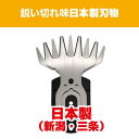 kenkocom:11870667のサンプル画像2