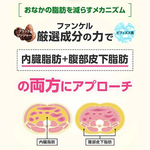 ファンケル 内脂サポート 機能性表示食品(90粒入)【ファンケル】[機能性表示食品　...