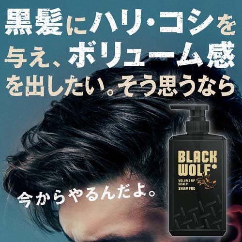 ブラックウルフ ボリュームアップ スカルプ シャンプー 詰め替え(330ml*12袋セット)【ブラックウルフ】[黒髪 ハリ コシ ボリューム ヘマチン べたつく] kenkocom-12115570 楽天24 ヘルスケア館 サンプル画像2