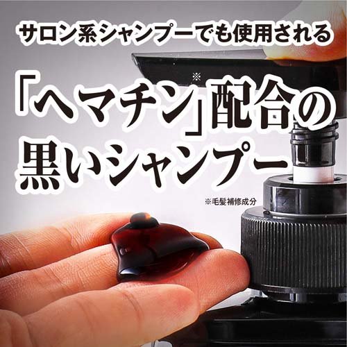 ブラックウルフ ボリュームアップ スカルプ シャンプー 詰め替え(330ml*12袋セット)【ブラックウルフ】[黒髪 ハリ コシ ボリューム ヘマチン べたつく] kenkocom-12115570 楽天24 ヘルスケア館 サンプル画像3