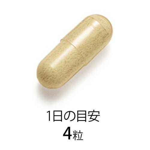 オリヒロ ブルーベリールテイン 30粒入×4個