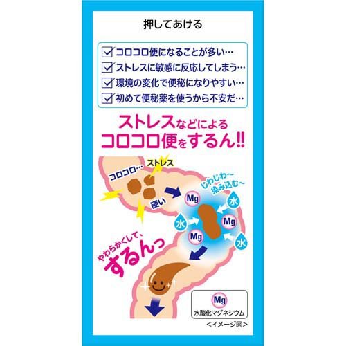 【第3類医薬品】錠剤ミルマグLX(90錠入*5箱セット)