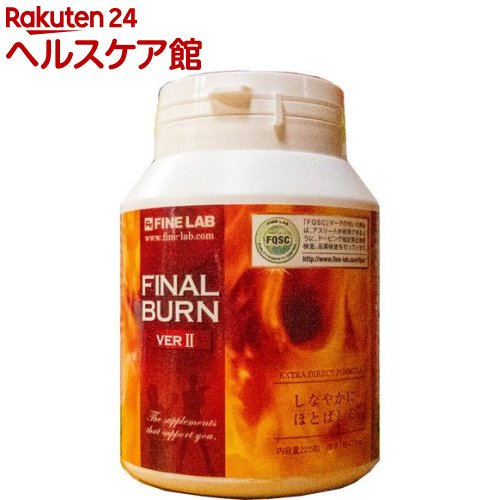 t@C{ FINAL BURN(t@Cio[)(225) t@C{ 