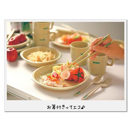 ロゴス ハシツキディナーセット 4人用(1セット)【ロゴス(LOGOS)】通販格安セール情報　楽天　通販