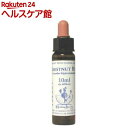 Healing Herbs チェストナットバット(10mL)【HealingHerbs(ヒーリングハーブス)】 その1