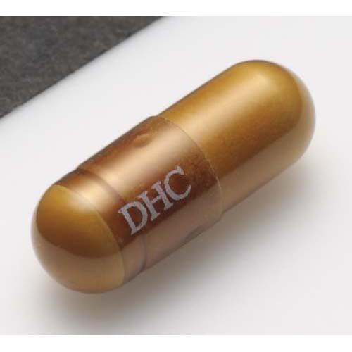 DHC 乳酸菌EC-12 20日分(20粒*3袋セット)【DHC サプリメント】 2