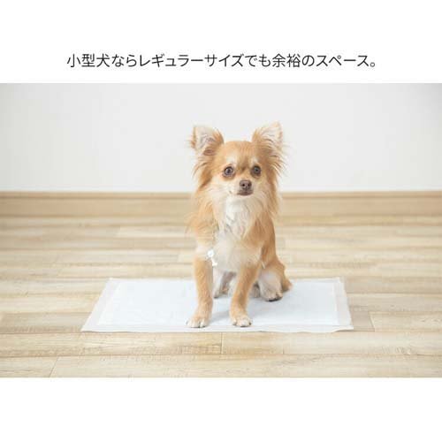超吸収ペットシーツ ワイド CPS-42W(42枚入*4個セット)