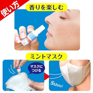 NOSEMINT ノーズミント(3本入)【NOSEMINT】