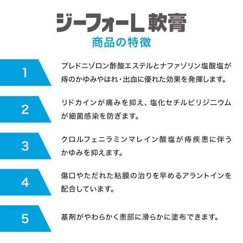 【第(2)類医薬品】ジーフォーL軟膏(20g)【ジーフォー】[軟膏 きれ痔 いぼ痔 痛み ...
