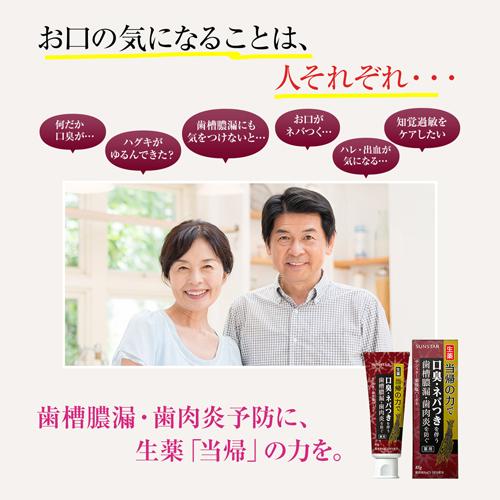 薬用ハミガキ 生薬当帰の力(85g)【生薬当帰の力】