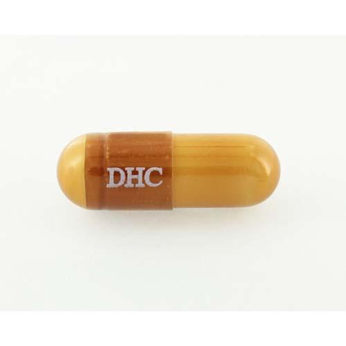 DHC ギャバ(GABA) 20日分(20粒(7.9g)*6袋セット)【DHCサプリメント　健康】