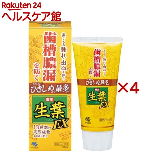 ��������EX(100g��4���å�)�����ա�