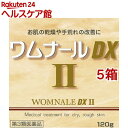 【第3類医薬品】ワムナールDXII(120g*5箱セット)【ワムナール】