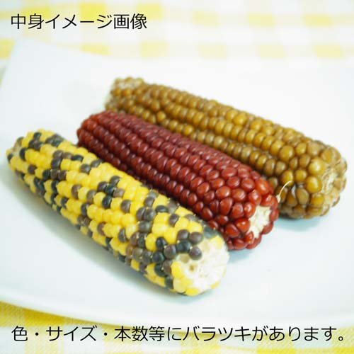 �ߥ˥��˥ޥ� �ϥॹ�������ꥹ�Υץ������� ���̣(60g*48�ޥ��å�)�ڥߥ˥��˥ޥ��