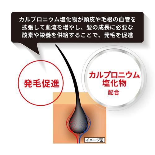 【第3類医薬品】NFカロヤンガッシュ(240ml*3箱セット)【カロヤン】