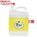 パックスナチュロン ハンドソープ 大容量(5L*2個セット)【パックスナチュロン(PAX NATURON)】[手荒れ予防 料理 石け…