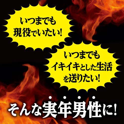 マカ・亜鉛 PREMIUM 約30日分 エネルギッシュな生活を送りたい男性に(90粒入り)【...