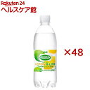 ウィルキンソン タンサン レモン＆ライム(24本入×2セット(1本500ml))