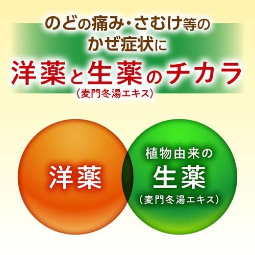 【第2類医薬品】パブロン50 錠(48錠(セルフメディケーション税制対象))【パブロン】[風邪薬 アセトアミノフェン 眠くならない]