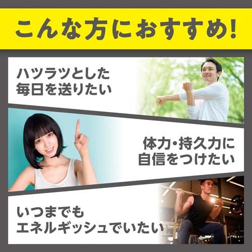 DHC 発酵黒セサミン+スタミナ 20日分(120粒)【spts15】【DHCサプリメント　スタミナ】 kenkocom-11190753 楽天24 ヘルスケア館 サンプル画像3