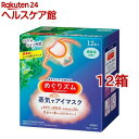 めぐりズム 蒸気でホットアイマスク 森林浴の香り(12枚入*12箱セット)【めぐりズム】