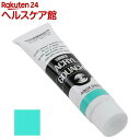 ターナー アクリルガッシュ 普通色 141A アクアグリーン AG100141(100ml)【ターナー】