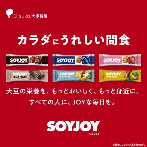 �������祤 ������(12����)��SOYJOY(�������祤)��