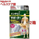 バンテリンコーワ サポーター ひざ専用 ゆったり大きめ/LLサイズ シルバーグレー(2箱セット)【バンテリン】