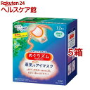 めぐりズム 蒸気でホットアイマスク 森林浴の香り(12枚入*5箱セット)【めぐりズム】