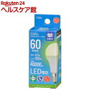 LED電球小形E17 60形相当 昼白色(1個)