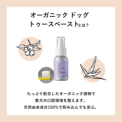 メイド・オブ・オーガニクス オーガニックドッグトゥースペースト ブルーベリー(50g*6個セット)【メイド・オブ・オーガニクス】