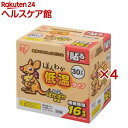 カイロ 貼る レギュラー 低温 使い捨て ほんわか低温カイロ(30枚入×4セット)【アイリスオーヤマ】