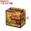 アイリスオーヤマ 激熱家族 貼らないカイロ 屋外用 使い捨て(30枚入×2セット)