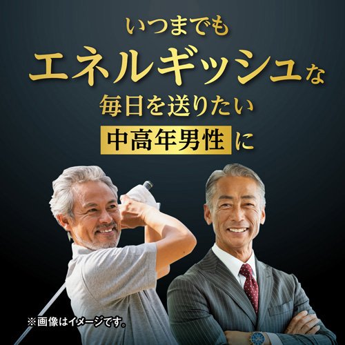 マカEX 約30日分 エネルギッシュな生活を送りたい男性に(60粒入り×5個セット)【小...