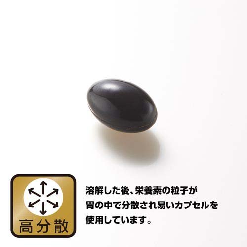 野口医学研究所 イチョウ葉＆DHA・EPA サプリ(60粒入×2セット) kenkocom-12211561 楽天24 ヘルスケア館 サンプル画像3