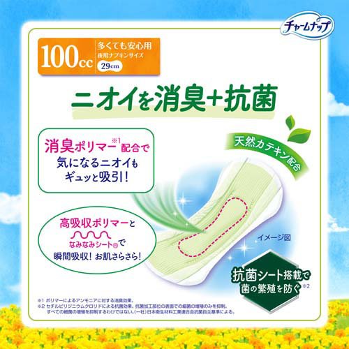 チャームナップ 吸水さらフィ 多くても安心 消臭タイプ 尿もれパッド ナプキンサイズ(18枚入×3セット)【チャームナップ軽度】 3