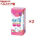 大人用おむつ Lサイズ リフィール 薄型パンツ 快適下着 NAD-L20-4(20枚入×2セット)