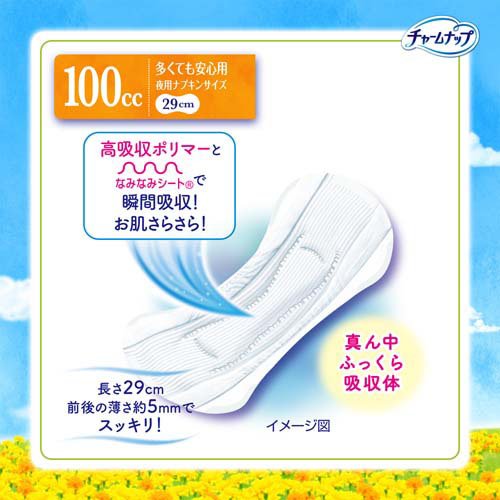 チャームナップ 吸水さらフィ 多くても安心用 羽なし 100cc 29cm(14個入×5袋セット)【チャームナップ軽度】