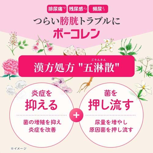 【第2類医薬品】ボーコレン(48錠)【ボーコレン】[膀胱トラブル 排尿痛 残尿感 頻尿 五淋散料エキス]