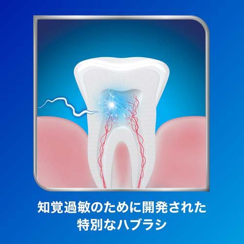 シュミテクト やさしく歯周ケアハブラシ 極細シルキー毛 薄型コンパクト ふつう(3...