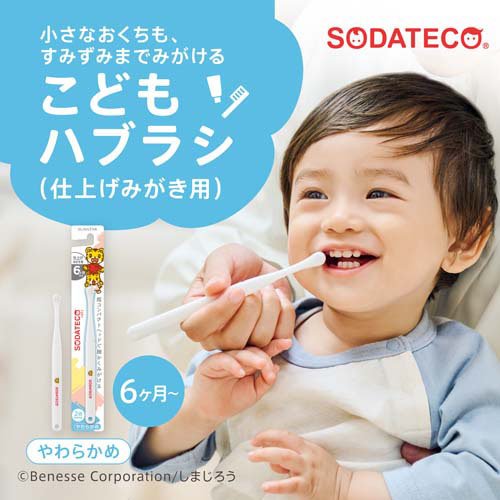 ソダテコ こどもハブラシ 仕上げみがき用(6セット)【SODATECO(ソダテコ)】