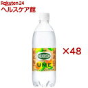 ウィルキンソン タンサン ウメ(24本入×2セット(1本500ml))