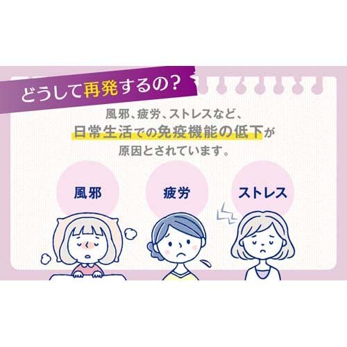 【第1類医薬品】メディトリート(6コ入(セルフメディケーション税制対象))【メディトリート】[膣 カンジタ 痒み カンジタ菌 坐剤 市販薬] 3