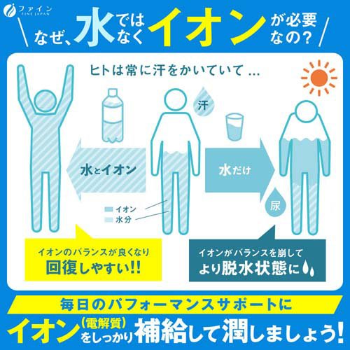 �ե����� ������ɥ�� ���ݡ��ĥɥ��̣(22���10���å�(1��3.2g))�ڥե������