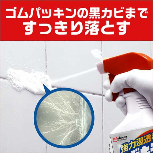 カビキラー カビ取り剤 業務用サイズ 詰め替え 大容量(5000g)【カビキラー】[カビ...